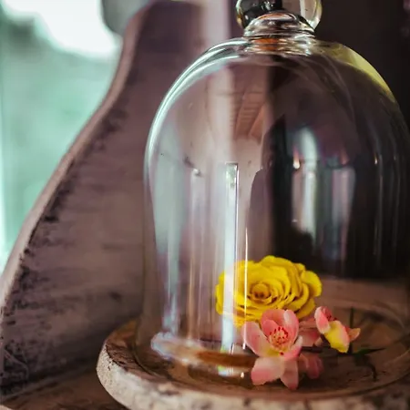 Il Girasole Chalet SantʼIppolito